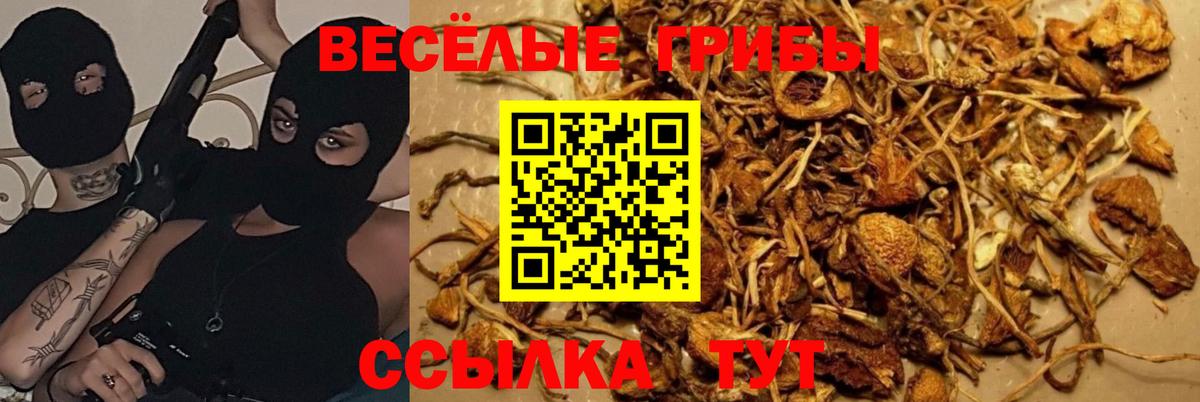 Псилоцибиновые грибы мицелий  Галлюциногенные грибы ЛСД  Нарткала  Вход с VPN 